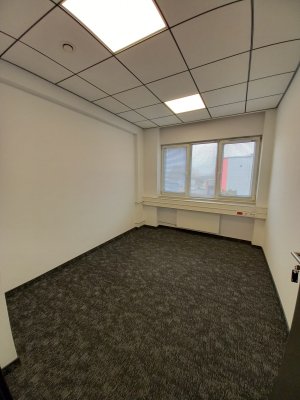 Przedpole 1