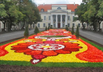 Dywan z begonii pod Ambasadą Belgii