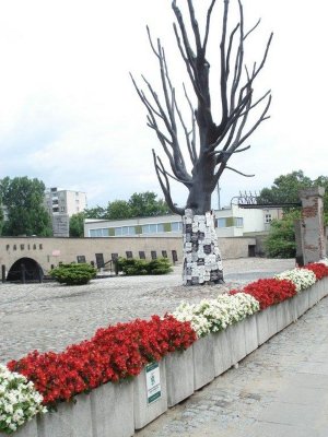 Muzeum Więzienia "Pawiak"