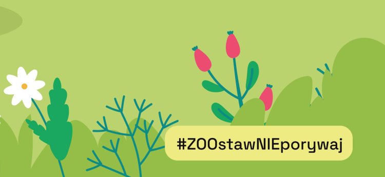 ZOOstaw, NIE porywaj!