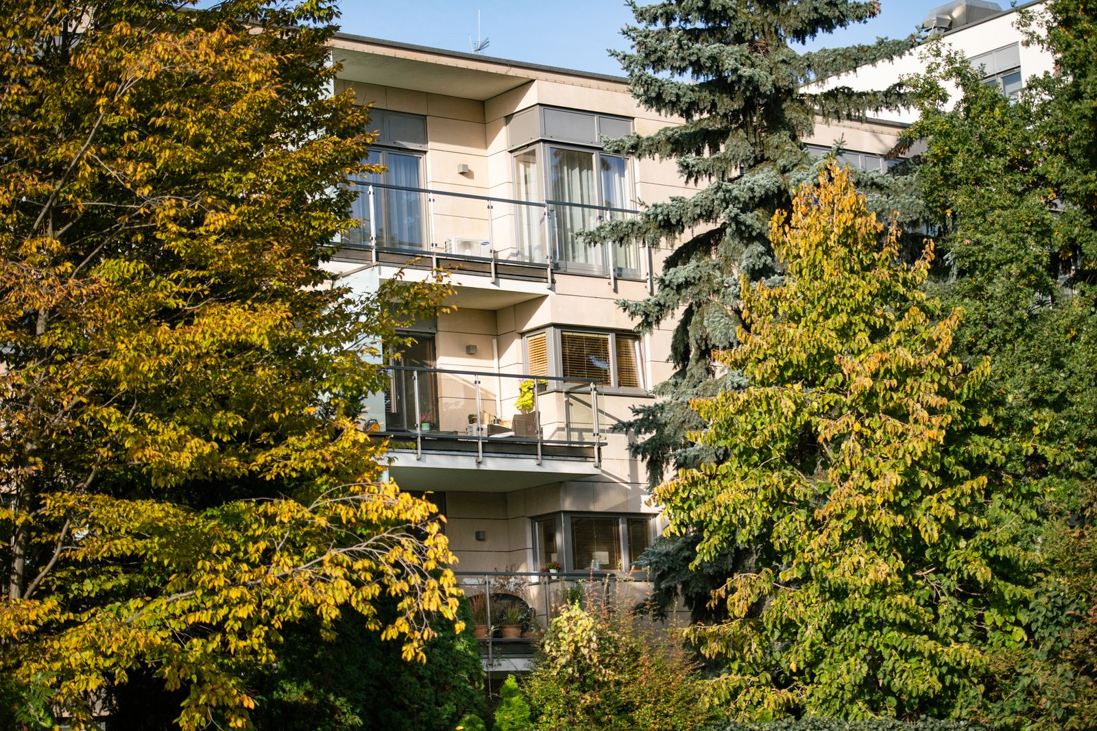 Apartamenty Elekcyjna